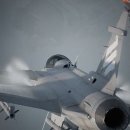 도그 에이스 이미지