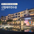 신용협동조합중앙회연수원 | 내돈내산 제주도 가족여행 숙소 추천 | 가성비 최고 신협제주연수원