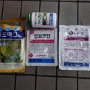 천공농장 이미지