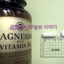 인간과허브 | 라이프익스텐션 L트레온산 마그네슘 아이허브 직구 구입 후기. 설 할인코드 적용 25% 할인.