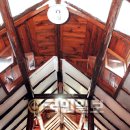 김재원 동물병원 국민일보