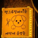 펫그루밍바이순 이미지