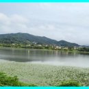 유진공인중개사무소 이미지