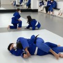 Dream of Judo 세종유도관 이미지