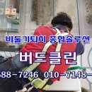 버드벨리 이미지