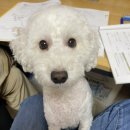 GS25 본촌리채점 | [대학생 알바 후기] 2편. 과외 알바 (수학)