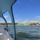 한강오리 이미지