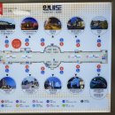 칠성로 쇼핑거리 이미지