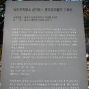 탁지부측량 소삼각점 이미지