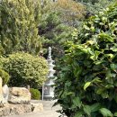 성도사 | [경상도/창원 진해] 진해 벚꽃 스팟 추천 성도사 🌸🌸🌸