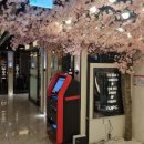 앤유PC방 이미지