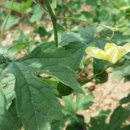 땅끝농장 이미지