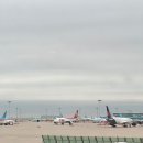 37-A | 인천 구마모토 티웨이항공 임산부 체크인, 우선 탑승 방법 + 현지 공항 후기