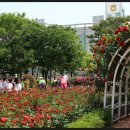 장미어린이공원 이미지