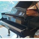 중앙동185 이미지