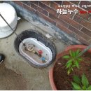 민족사관유치원 이미지