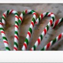 강서구립봉제산노인복지센터 이미지