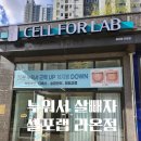 동탄대로시범길 | 셀포랩동탄 라온점 체지방관리 솔직후기