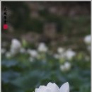 성주사 입구 이미지