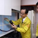 콕 코리아 이미지