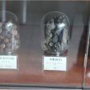 지사한의원 이미지