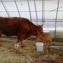 새농민농장 이미지