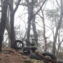 양산JC(부산) 이미지
