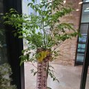 논산애견미용학원 이미지