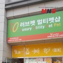 코리아애견샵 이미지