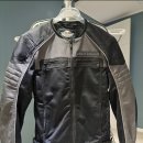 (자)정풍 이미지