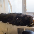 동행동물병원 이미지