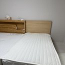 +111일 오늘의 용또캉 육아일기(알레르망 스핑크스와 라비킷 침대가드 후기)