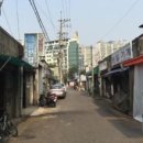 예술과공존