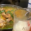 축구보는닭