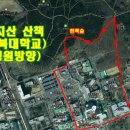 건지산숲속작은도서관 | 전주여행_건지산(숲속작은도서관,편백숲)