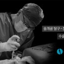 대치동물메디컬센터 이미지