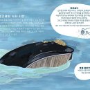 돌고래노래뱅크 루리웹 뉴스보드