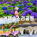 활터녹색나눔숲공원 화장실 | 거제 숲소리공원 양떼목장 거제도 아이와 가볼만한곳