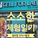 지에스(GS)25강서송정점 | 누워서 다이어트 되는 곳? 송정 셀포랩 크리스탈점 체험후기