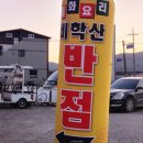 비학산반점