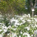 달성문화원 이미지