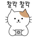 케이크앙 이미지