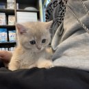 형제동물의료센터 이미지