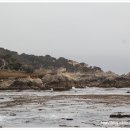 Monterey17 Hotel 이미지