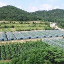 박종진 농장 이미지