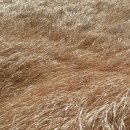 용수 민박 이미지