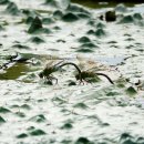 우포유스호스텔 숙박시설 이미지