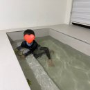 웨이트리 이미지