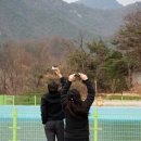 동강당구장 이미지