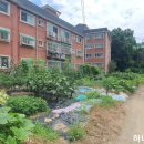 마평공인중개사사무소 이미지